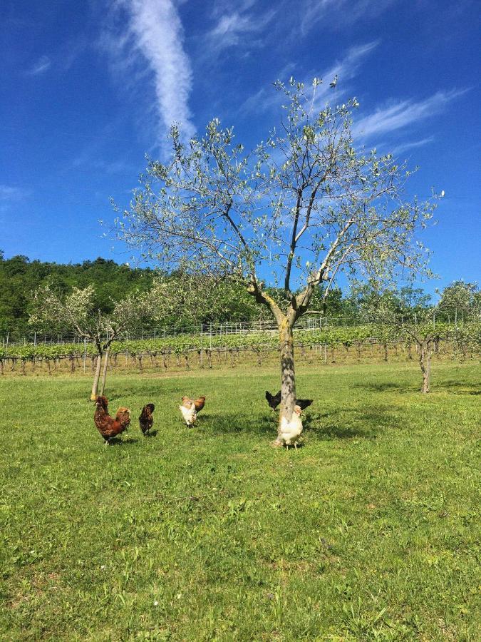 Agriturismo Ca' Cristane Rivoli Veronese Exteriör bild