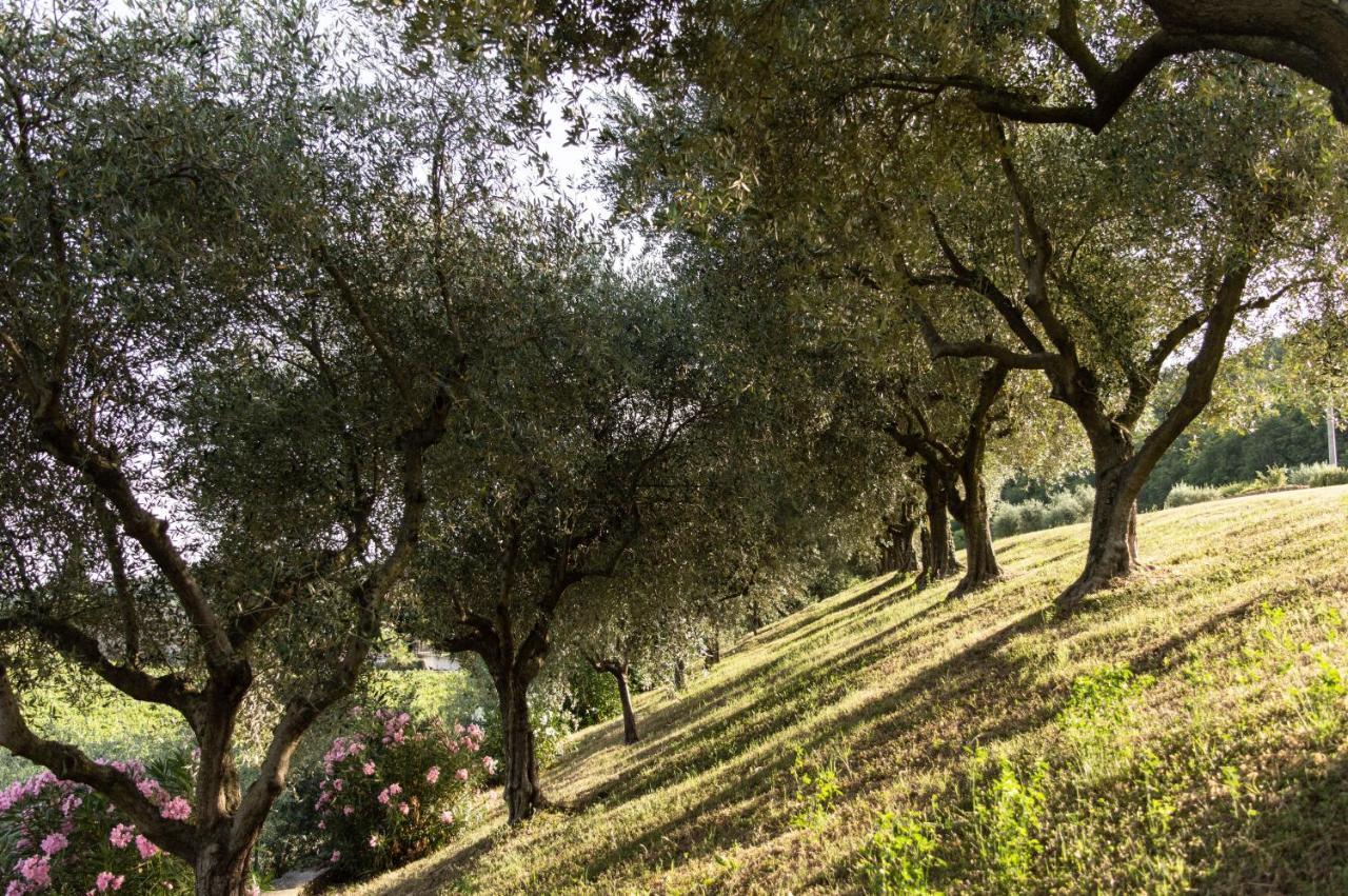 Agriturismo Ca' Cristane Rivoli Veronese Exteriör bild