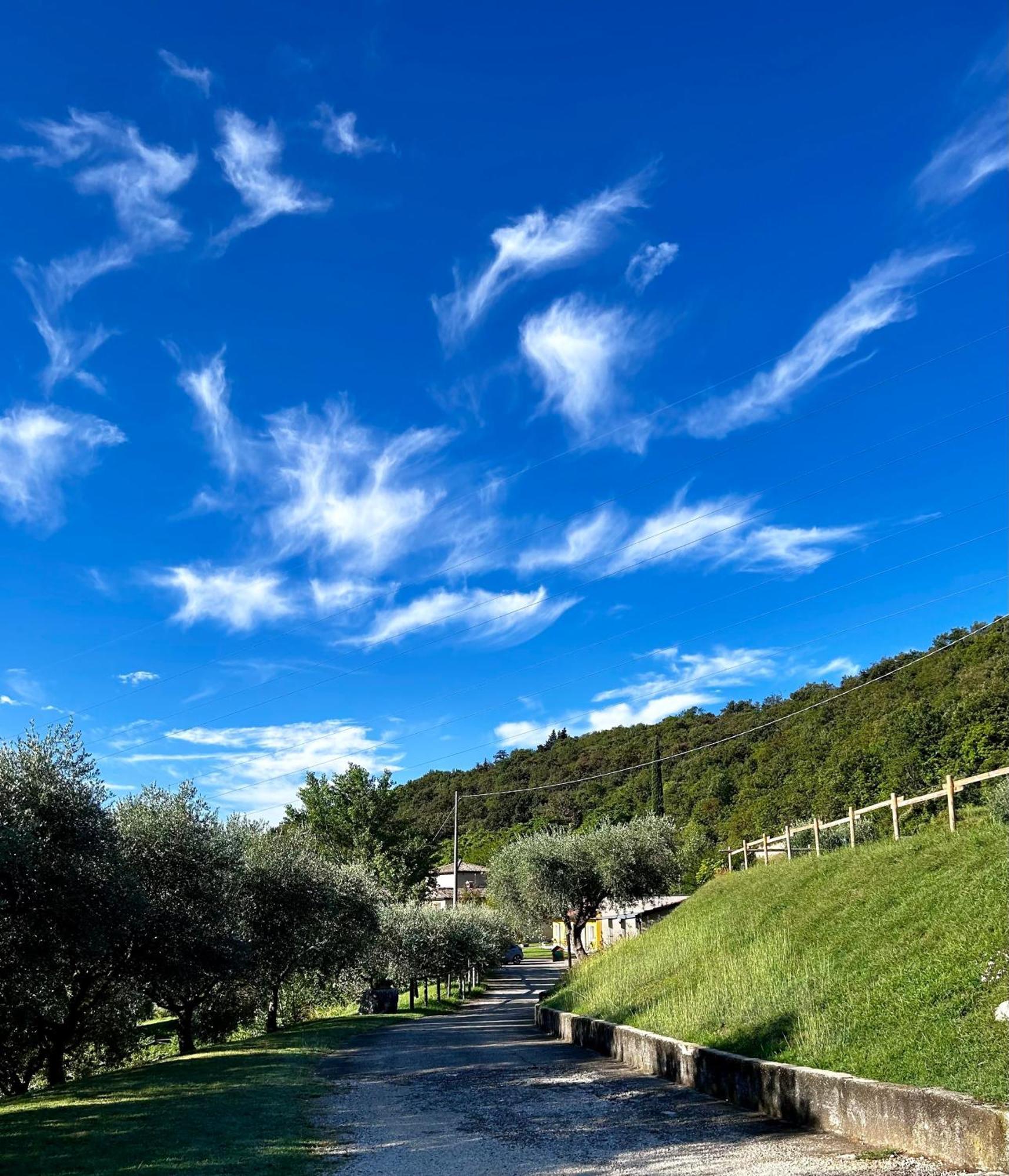 Agriturismo Ca' Cristane Rivoli Veronese Exteriör bild